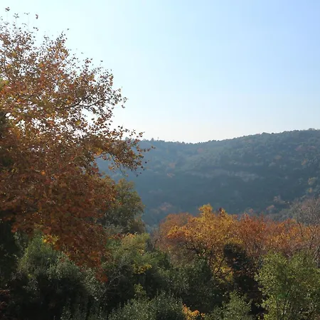 Milea Апартаменты Милея