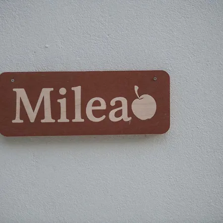 Διαμέρισμα Milea In Milies Pelion Μηλιές