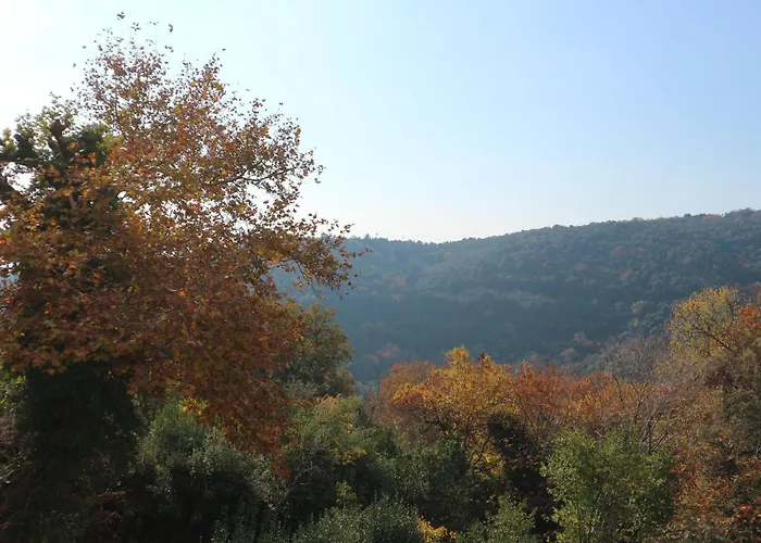 Milea In Milies Pelion Apartment Mileai